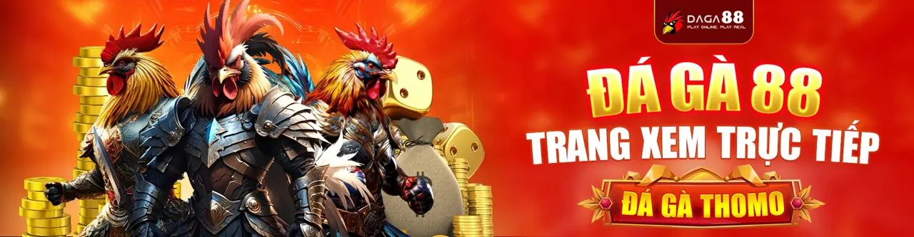 Sân đấu đá gà kịch tính tại VIPBET nhà cái