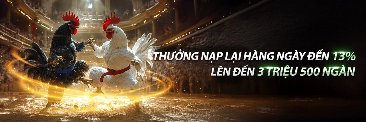 Giao diện cá cược thể thao và casino trực tuyến của VIPBET nhà cái