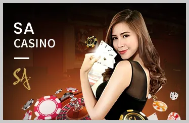Mục đích sử dụng Cookie của VIPBET Nhà Cái